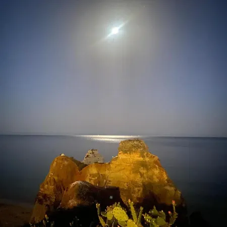 Apartment Nature Retreat In Albufeira-ana Bicas